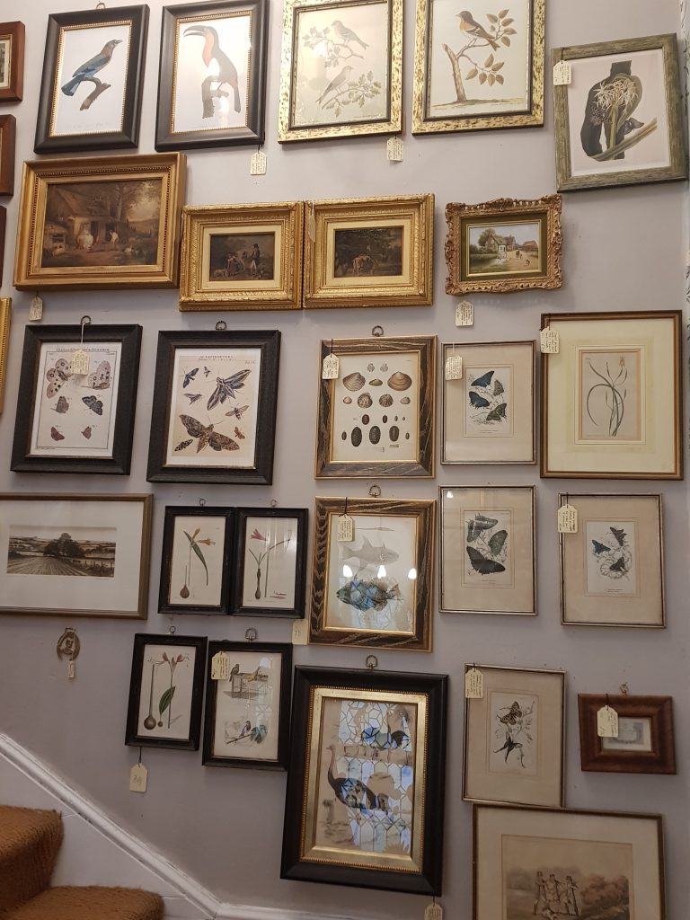 Stow (Antique Shop Pictures). Stow (Antique Shop Pictures).