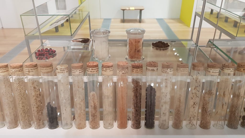 Exeter (Museum). Exeter (Museum).