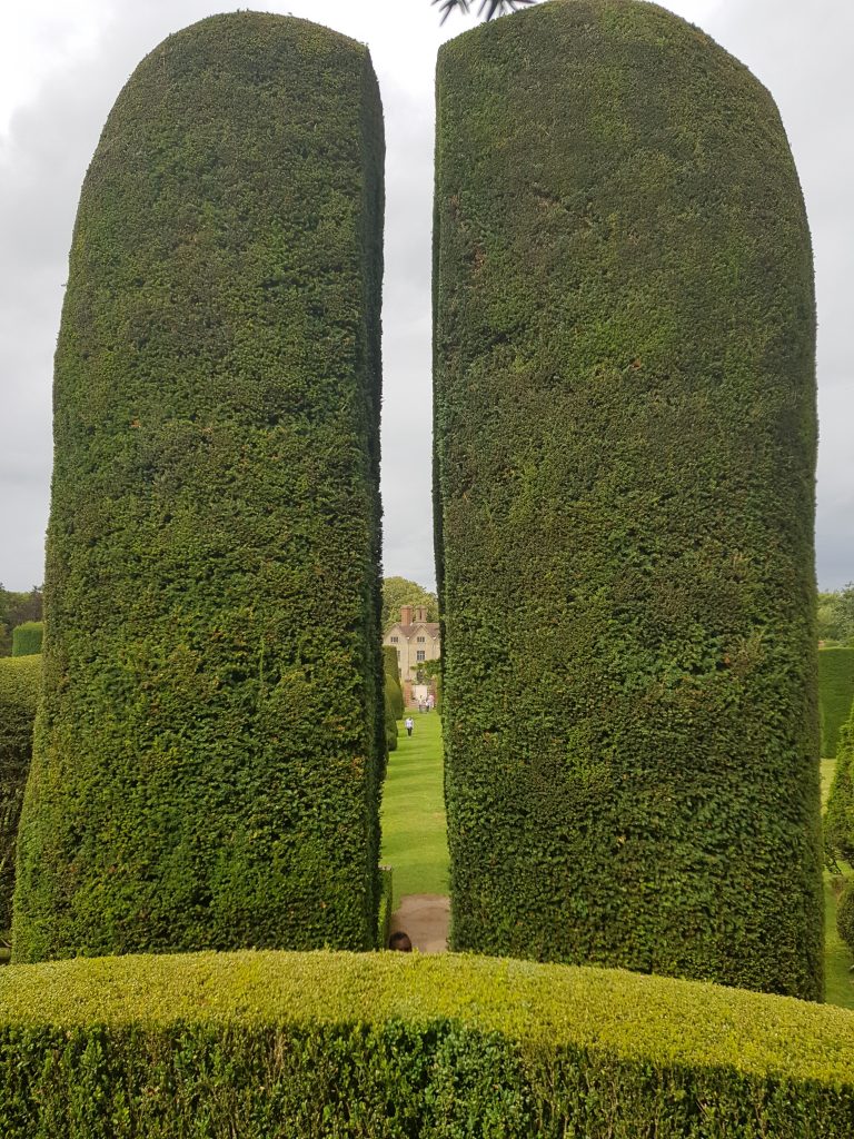Packwood House (Yew trees, Topiery). Packwood House (Yew trees, Topiery).